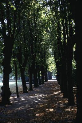 Hamburg_Park_01
