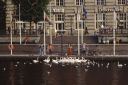 Hamburg_Alster_02.jpg